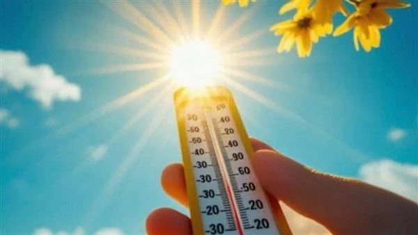 طقس ربيعي معتدل في محافظة البحيرة