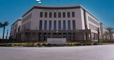 امتحانات الطلبة المصريين بالخارج متاحة عبر منصة إلكترونية