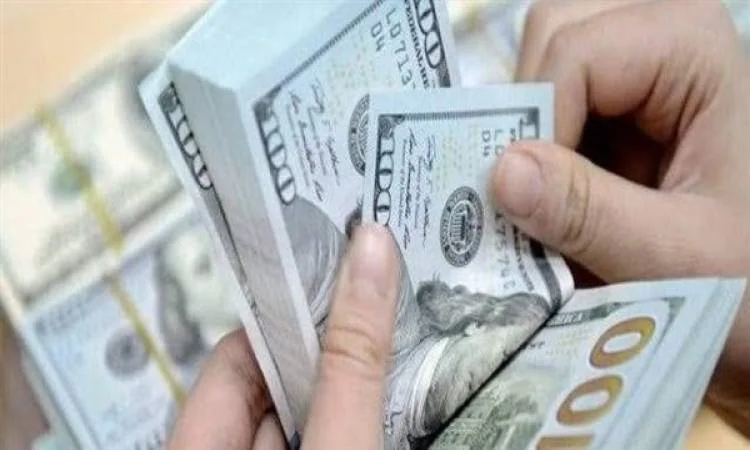 استقرار سعر الدولار أمام الجنيه المصري اليوم