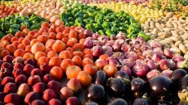 زيادة صادرات مصر الزراعية من خلال فتح الأسواق والدعم الفني
