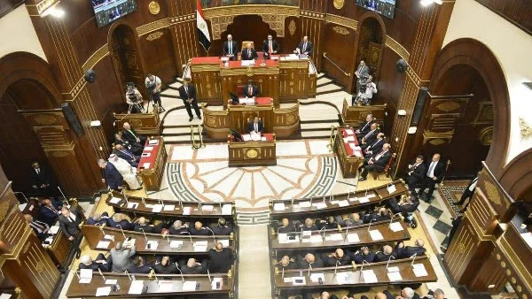 مقترح ياسر جلال لحماية حقوق المؤلفين وفناني الأداء