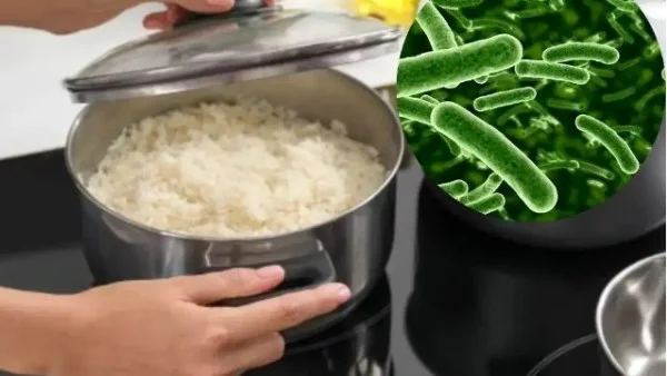 أخطار إعادة تسخين الأرز: كيف تتجنبها؟