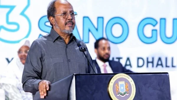 بدء تطبيق الدستور الصومالي رسمياً