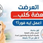 22 مركزاً في قنا للوقاية من السعار وتلقي المصل