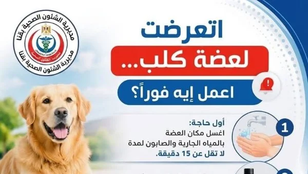 22 مركزاً في قنا للوقاية من السعار وتلقي المصل