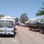188 ألف طن قمح محلي في بني سويف