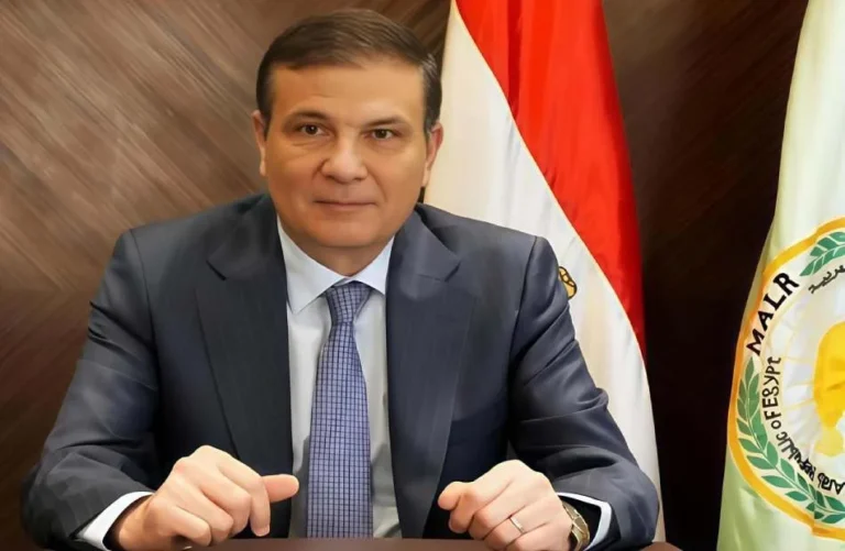 صادرات مصر الزراعية تصل إلى 3.7 مليون طن منذ بداية العام
