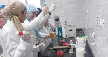 برنامج تدريبي لفحص الأغذية في مصر