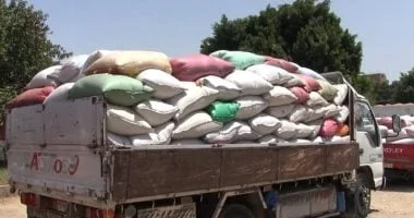 استلام 57 ألف طن قمح بمحافظة سوهاج للموسم الحالي