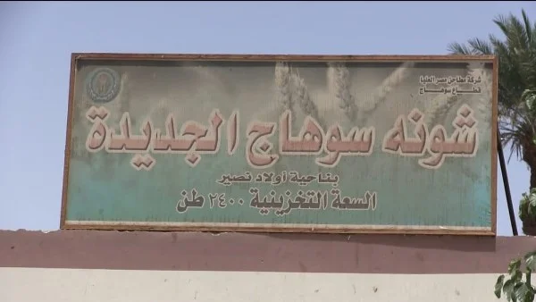 محافظ سوهاج يعلن عن توريد 57 ألف طن قمح محلي