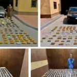 مقتل اثنين وإلقاء القبض على تجار مخدرات في أسيوط والمنيا