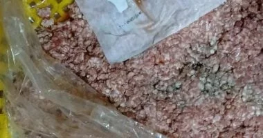 ضبط 12 ألف طن من الأغذية غير المطابقة في الإسكندرية