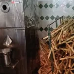 قنا تضبط عصارات قصب تستخدم مادة محظورة