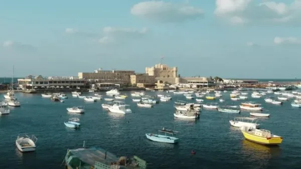 بهاء سلطان يطرح أغنية "أنا ضهرك" مع لمحة ثقافية