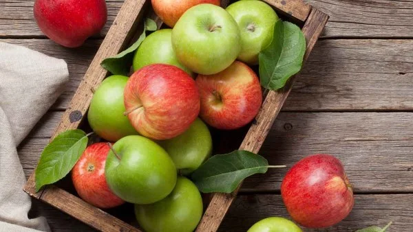 فوائد التفاح في مكافحة السرطان والتهاب المفاصل