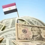 ارتفاع قياسي في تحويلات المصريين بالخارج