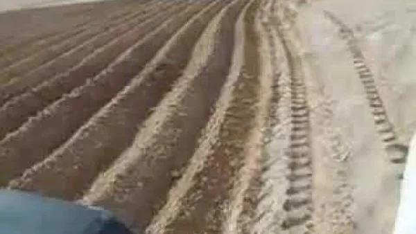 الأمثال الشعبية والزراعة في مصر: فلسفة العمل والإنتاج