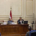 دعم رقمنة وثائق وزارة الخارجية المصرية