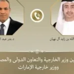 وزيرا الخارجية المصري والإماراتي يبحثان العلاقات الثنائية