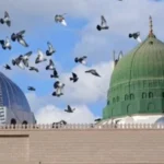 لماذا نحتفل بهجرة النبي في شهر المحرم؟