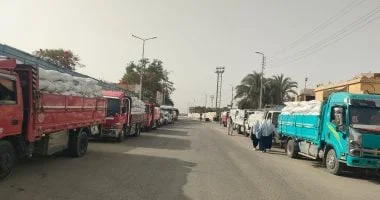 الأقصر تستقبل 25 ألف طن قمح وتحقق 76% من السعة التخزينية