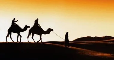 انطلاق موكب الهجرة النبوية واحتفالية كبرى في مصر