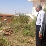 تطوير المساحات الخضراء في جامعة أسوان