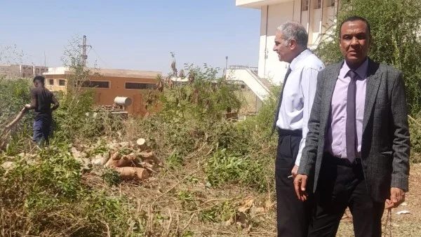 تطوير المساحات الخضراء في جامعة أسوان