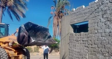حملات إزالة مخالفات البناء في الإسكندرية