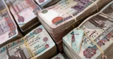 تدفقات الاستثمارات الأجنبية تعود بقوة إلى أدوات الدين