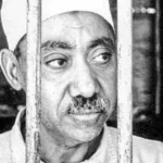 قيادات الإخوان تُحيي أفكار سيد قطب على الساحة الرقمية