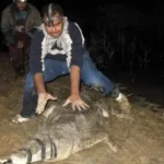 إجراءات اصطياد التماسيح في أسوان