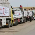 الدور المصري في قضايا الشرق الأوسط