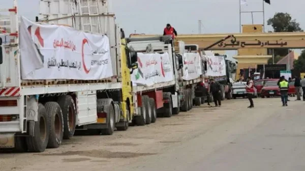 الدور المصري في قضايا الشرق الأوسط