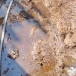 سكان قرية طرشوب ببني سويف يستغيثون من المياه الجوفية