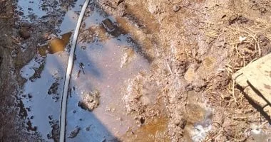 سكان قرية طرشوب ببني سويف يستغيثون من المياه الجوفية