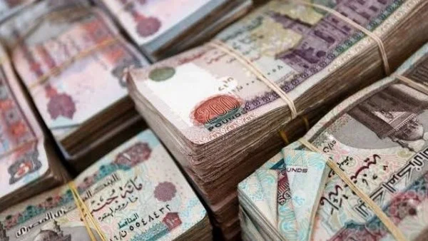 تراجع 11% في تعويضات شركات التأمين بمصر في فبراير 2026