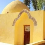 الشجرة المسحورة في البهنسا.. رمز تاريخي يزيد عمره عن 1000 عام