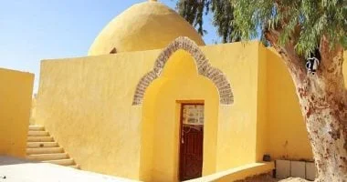 الشجرة المسحورة في البهنسا.. رمز تاريخي يزيد عمره عن 1000 عام