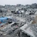 غزو القوارض يعصف بقطاع غزة
