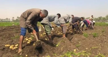 الكتلة الشمالية تنقذ المحاصيل من الإجهاد الحراري