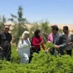 تفقد رئيس بلاط لمشروع زراعة النباتات الطبية