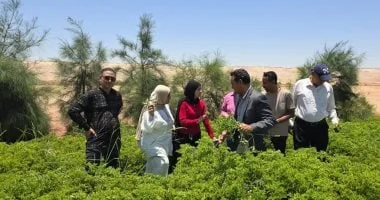 تفقد رئيس بلاط لمشروع زراعة النباتات الطبية