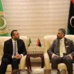 تعزيز التعاون بين المؤسسات الليبية في القاهرة