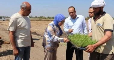 تدشين موسم الأرز بجامعة بنها لتعزيز البحث الزراعي