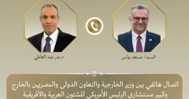 وزير الخارجية المصري يبحث التطورات الإقليمية مع مستشار ترامب