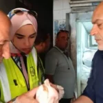 ضبط ربع طن دواجن غير صالحة في بنها