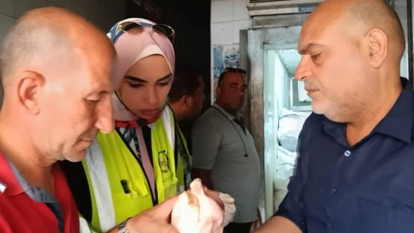 ضبط ربع طن دواجن غير صالحة في بنها