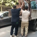 1019 حالة إشغال وتعدٍ في الإسكندرية