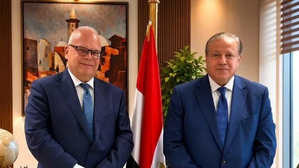 تعزيز التعاون المصري السويدي في الملكية الفكرية